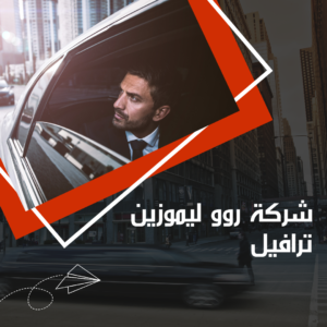 كيفية الوصول إلى مطار برج العرب الدولي